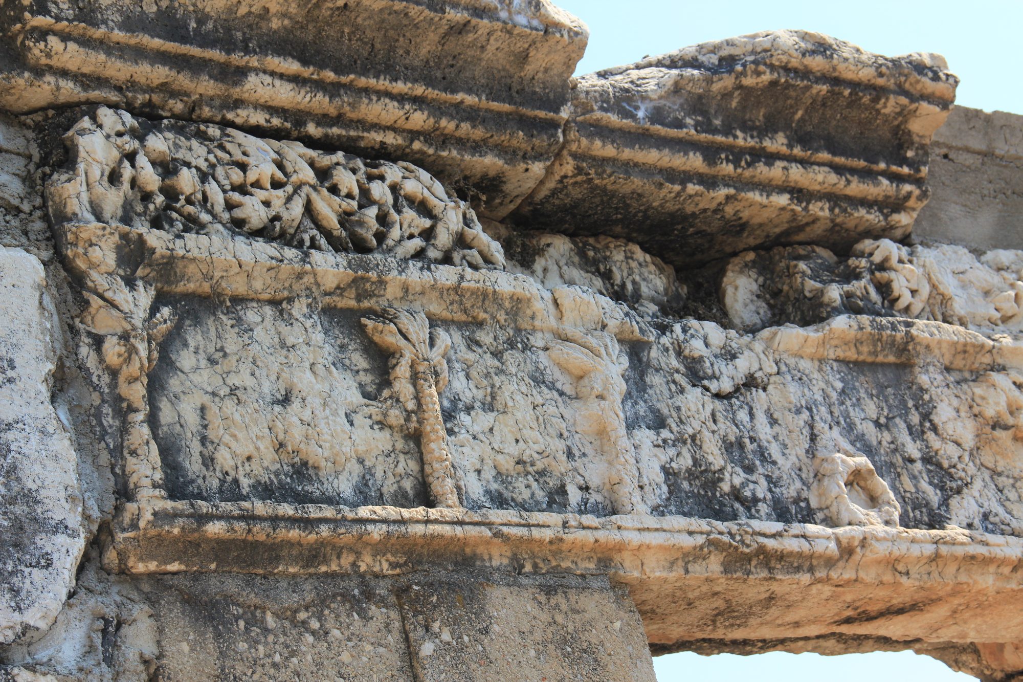 Capharnaum 36
